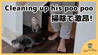 どんだけトイレ掃除嫌いなの！？カワウソビンゴが怒鳴る！！