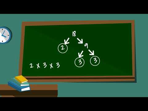 What is the prime factorization of 18?