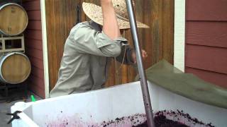 Fermentation:  Punch down Pinot Noir 2010