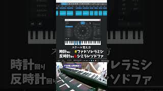 【初心者向け音楽理論入門編6】超簡単なスケールの覚え方！コレ丸暗記で転調がスムーズに出来るゾ。【エモい曲／作曲／かっこいい／ボカロ／初心者／DTM／打ち込み／MIDI／コード進行】#shorts