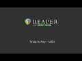 Snap to Key - MIDI in REAPER