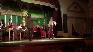 西班牙佛朗明哥舞蹈特輯3(La Palacio Andaluz, Seville, Flamenco Show in Sevilla,Spain Part 3)