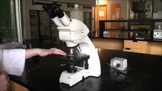 Microscope: Koehler Illumination and Focusing