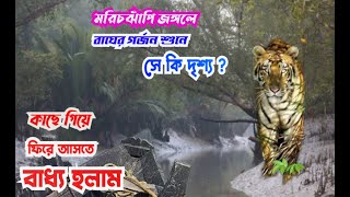 মরিচঝাঁপি জঙ্গলের বাঘের গর্জন শুনে কাছে গিয়ে ফিরে আসতে বাধ্য হলাম।