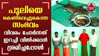 Five held in Kerala for killing leopard, consuming its meat