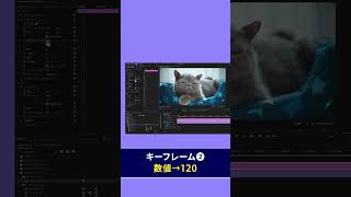 ポヨンと出現するテロップエフェクトの作り方【Premiere Pro/プレミアプロ チュートリアル】