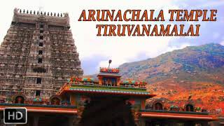 Annamalaiye Unnamalaiye Unathu Malaiye| Tiruvannamalai Sivan | Om Namashivaya | TN 68/Bala S