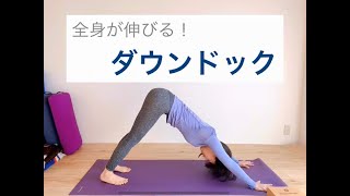 全身ストレッチになるYOGAポーズ ダウンドック／下向きの犬のポーズ #2