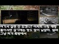 반전 신청사연 남편이 부회장 진급이 무산된줄 모르고 나에게 새 며느리라며 인사시킨 시모 서둘러 도장 쾅 찍자 시모가 혼절하는데 실화사연 사연낭독 라디오드라마 라디오 사이