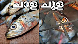 ചുട്ട ചാള | sardines fish | chala fish | fish | fish cutting | grilled fish