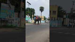 एकमा के मेला मे हाथी सनक गई ekma ke mela me hathi sanak gai #video #india (4)