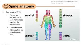 20240813 重症照護系列課程 Acute spinal cord injury + Guillain-Barre syndrome and Myasthenic crisis