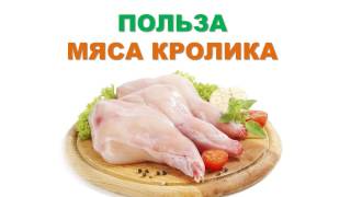 Польза мяса кролика.