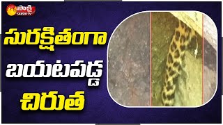 Rajanna Sircilla District :  సురక్షితంగా బయటపడ్డ చిరుత| leopard | Bowenpally Mandal | Sakshi TV