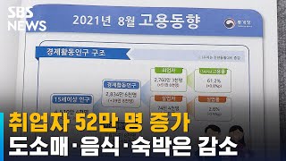 취업자 52만 명 증가…도소매 · 음식 · 숙박 -15.1만 명 / SBS