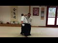 合気道 ‐ 横面打ち自由技 aikido yokomen uchi in hungary 02