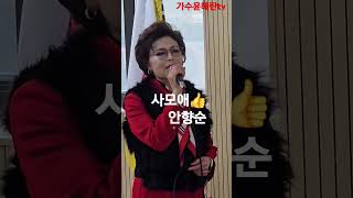 사모애(마이진)안향순Cover👍👍👍 #가수윤혜란tv 데뷔곡전성기 이호섭작사작곡 태진노래방54801번 엘프45274번