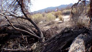 Unchartered: Pahrump Nevada - Full Episode