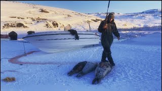 Seal Hunting