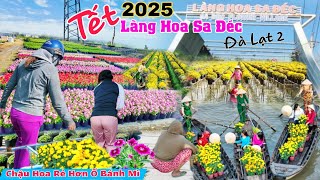 Làng Hoa Sa Đéc 2025 hỏi giá hoa Tết Ất Tỵ bất ngờ chậu hoa rẻ hơn ổ bánh mì