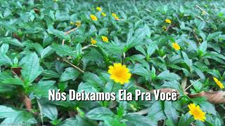 A Casa É Sua - Mari Borger (Cover) | Músicas Gospel Com Letra #musica #louvores