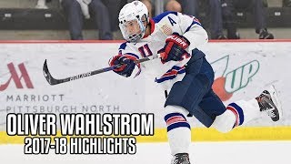 Oliver Wahlstrom | 2017-18 Highlights