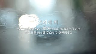 은혜의 비 | HolyseedsChurch