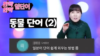 [반짝반짝 일단어]#19. 동물 단어2 (8개) 일본어 단어 연상법