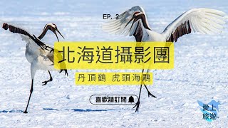 ✈圓夢之旅✈日本北海道攝影團【海上捕捉虎頭海鵰的蹤影】EP.2