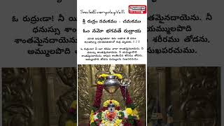 శ్రీ రుద్రం నమకము - చమకము  శ్లోకం - 1 With Meaning sri rudram namakam \u0026 chamakam||SmileEverydayValli