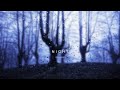 Compilation video from infiniteambient.com by Jeff Pearce