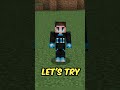 minecraft villagers secret trick