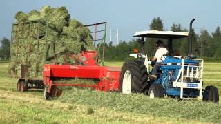 Hay baling with Ford 6610 - Foin 2013 avec \