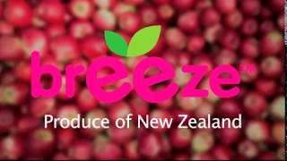 Freshco Breeze 2016