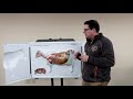 cow anatomy 3d flip chart