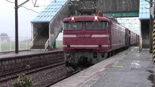 EF81-735牽引 高貨B3093レ 東光寺駅通過（HD）