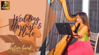 WEDDING HARPIST & FLUTE | BANSURI | EVENTS BAND | MISTRYMUSIC
