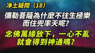 彌勒菩薩為什麼不往生極樂，而住兜率天呢？念佛萬緣放下，一心不亂就會得到神通嗎？念佛人往生邊城，是不是也有佛來接引呢？文殊、普賢等各菩薩都是等覺，十方世界隨意來往，為什麼還要往生極樂？#净土疑問（18）