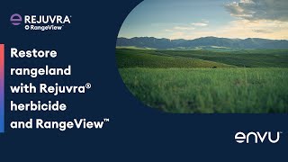 Restore rangeland with Rejuvra® herbicide and RangeView™