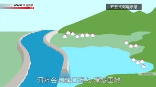 霞堤