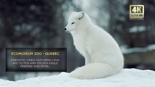 Ecomuseum zoo - Feb 2023