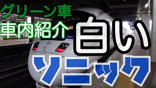 革張りの快適シート 特急ソニック 車内紹介 小倉⇨博多 九州鉄道旅行1日目③【JR九州885系】