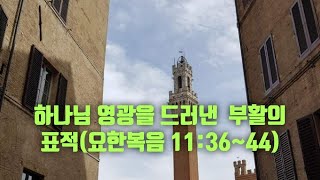 생명의 삶 QT. [2025.2.10.(월)새벽예배] 하나님 영광을 드러낸 부활의 표적(요한복음 11:36~44) 강인철목사