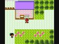 pokemon gold  silver quick level up