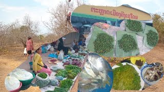 ตะหลาดแลงเมืองคง//ຕະຫລາດແລງເມືອງຄົງ