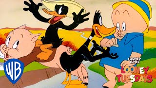 Looney Tunes | Iconic Duo: Porky and Daffy | Looney Tuesdays | WB Kids