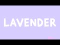 JVKE - Lavender (Lyrics) Feat. Pink Sweat$