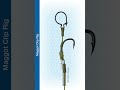 #Shorts How To Tie The Maggot Clip Rig