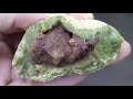 대구 찹쌀떡 달인 직접 농사지은 거두팥 popular sticky rice cake chapssaltteok korean street food