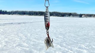 First Time Ice Fishing for WhiteFish!! - SUCCESS!!